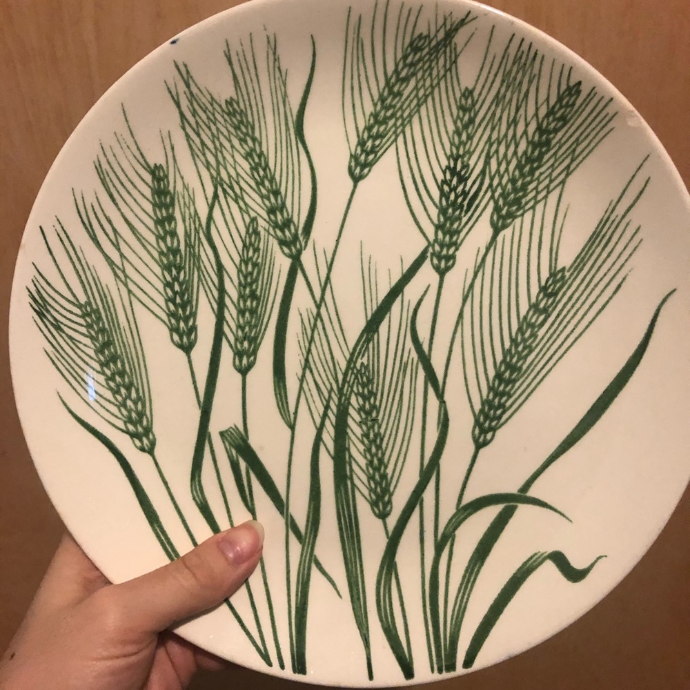 Decorative plate 🌿